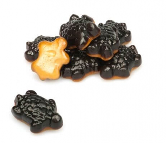 FrisiaSaltedTurtles